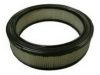 GM 25177542 Air Filter